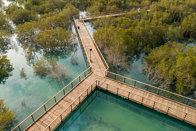 Marine Walkway Works